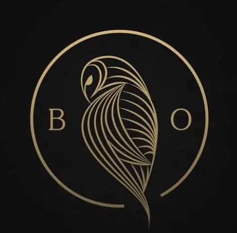 Logo Black Owl